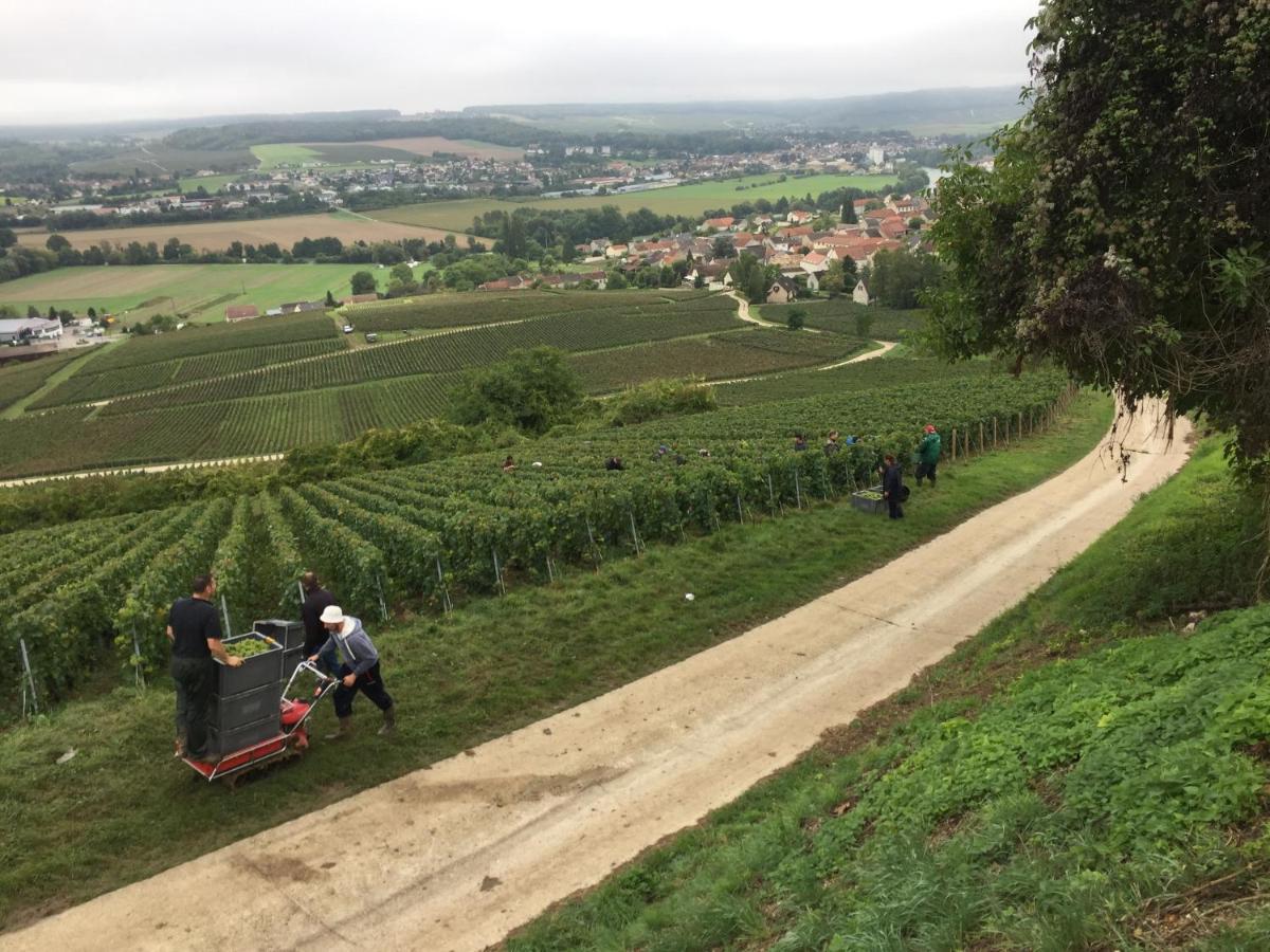 Vincelles  Villa L'Insouciance En Champagne מראה חיצוני תמונה