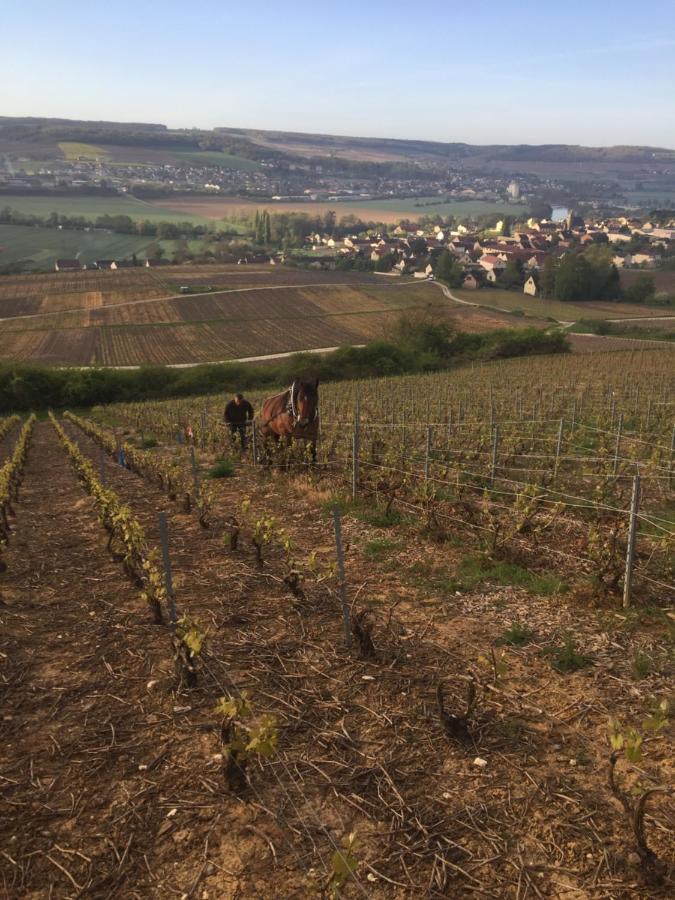 Vincelles  Villa L'Insouciance En Champagne מראה חיצוני תמונה