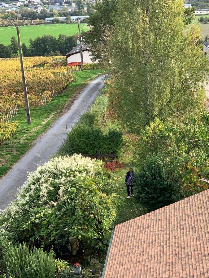 Vincelles  Villa L'Insouciance En Champagne מראה חיצוני תמונה