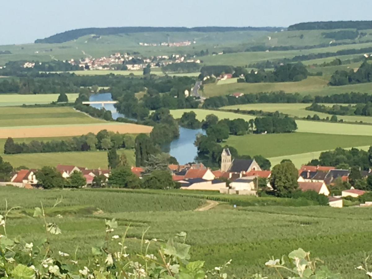 Vincelles  Villa L'Insouciance En Champagne מראה חיצוני תמונה